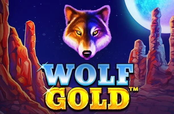 tv xat globo online gratis